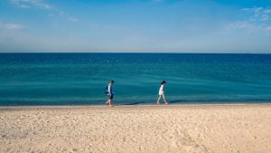 Kuriska Näset, Litauen