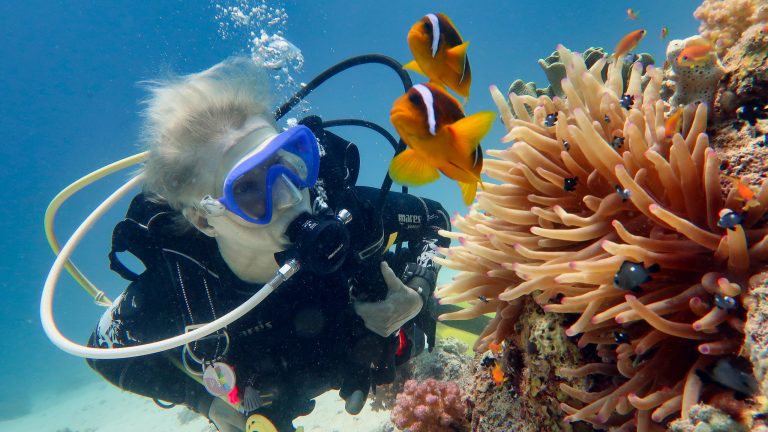 Läs mer om artikeln Egypten under ytan