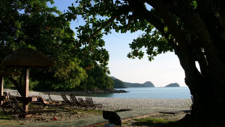 Läs mer om artikeln Den självlysande djungeln i Malaysia