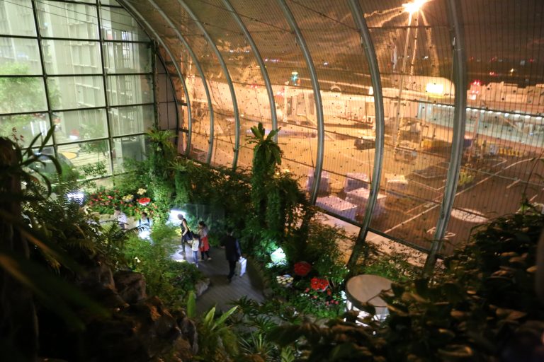 Här behöver du inte ha fjärilar i magen 3 Läs mer om artikeln Här behöver du inte ha fjärilar i magen